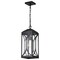 Nuvo Oaklyn - 1 Light Hanging Lantern - Matte Black with Clear Glass 60/8125 - alternate 1